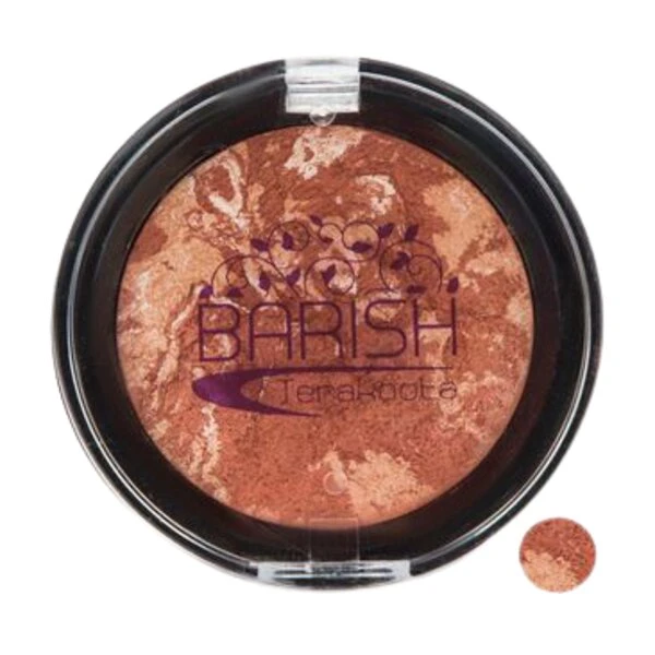 رژگونه تراکوتا باریش Silky touch شماره 201