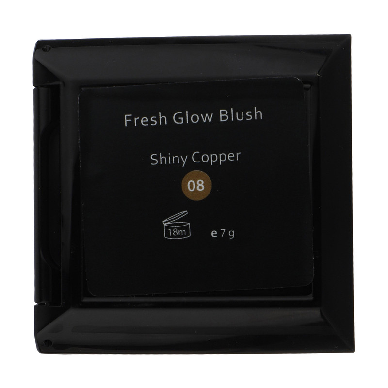 رژ گونه این لی Shiny Copper 08