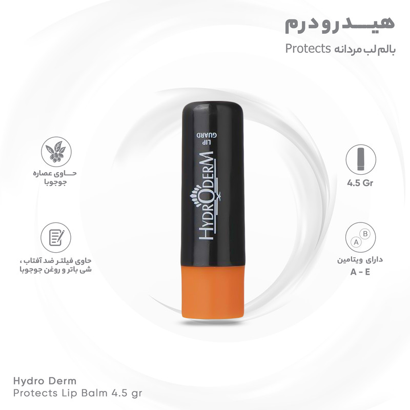 بالم لب مردانه هیدرودرم Protectsوزن 4.5 گرم