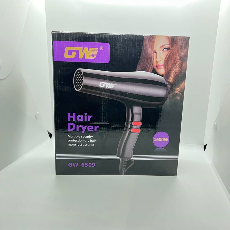 سشوار جی دبلیو مدل GW-6509