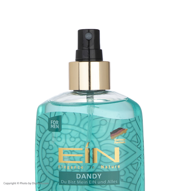 بادی اسپلش مردانه ای آی ان DANDY حجم 250 میلی لیتر