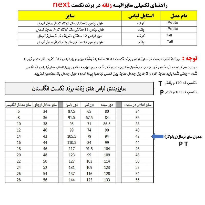 بلوز آستین کوتاه زنانه نکست مدل av-3800