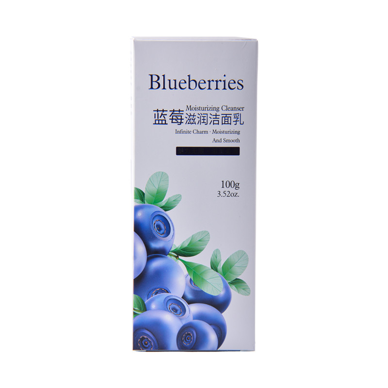 فوم پاک کننده صورت بایو آکوا مدل Blueberrries حجم 100 میلی لیتر